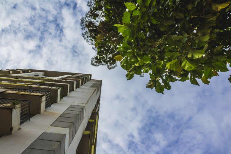 Las nuevas construcciones biodegradables como innovación